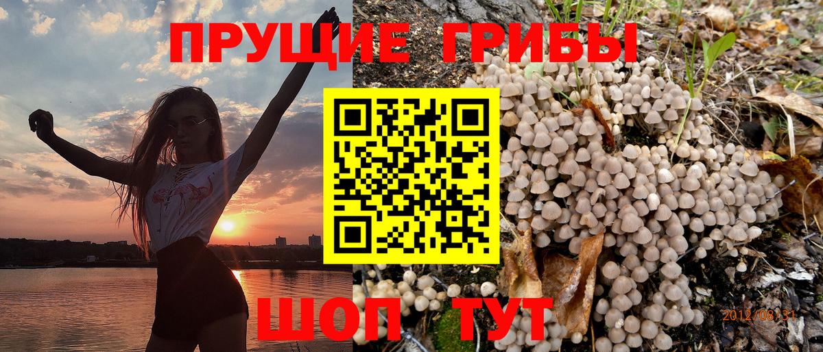Галлюциногенные грибы Psilocybine cubensis  Вход с VPN  Кемерово 